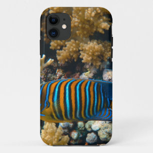 Cute Colourful Fish iPhone 11 Case