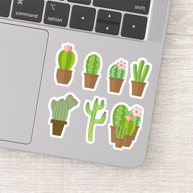 Cute Colourful Green Pink and Red Flowering Cactus (Detail)