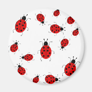 Cute colourful ladybugs clip art magnet