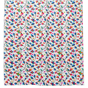 cute colourful parrot bird