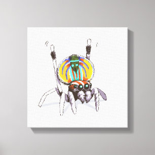 Cute Colourful Peacock Spider Drawing Art Canvas