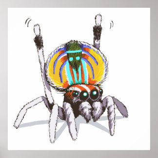 Cute Colourful Peacock Spider Drawing Art Poster