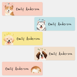 Cute Colourful Pet Dogs Puppy School Daycare
