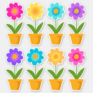 Cute Colourful Spring Flowers in Pots
