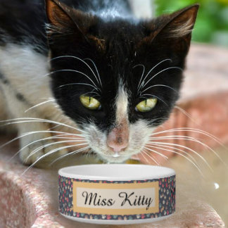 Cute Colourful Tiny Cat Paw Prints on Grey Bowl