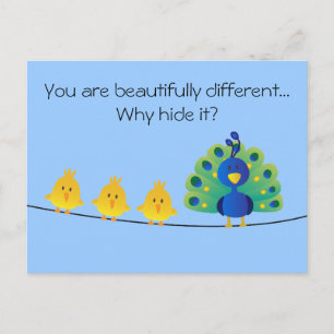 Cute & colourful toon of birds and a peacock postcard