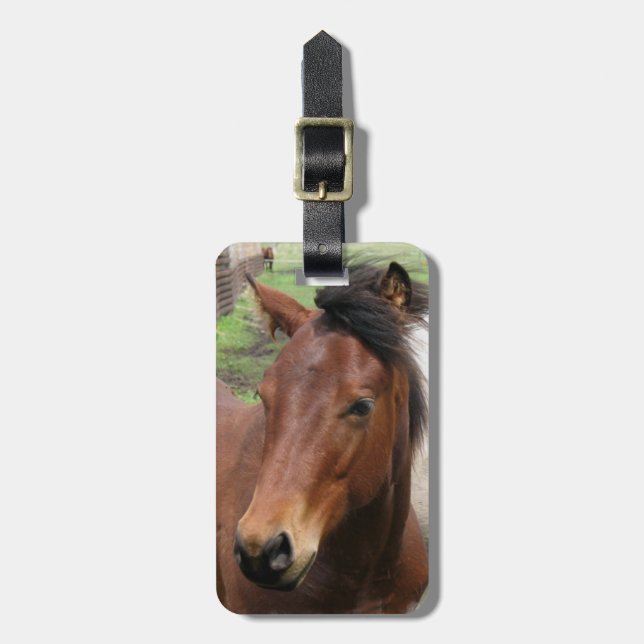 Cute Colt Luggage Tag (Front Vertical)