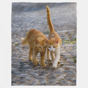 Cute Companioned Kittens Walk the Same Path - soft Fleece Blanket