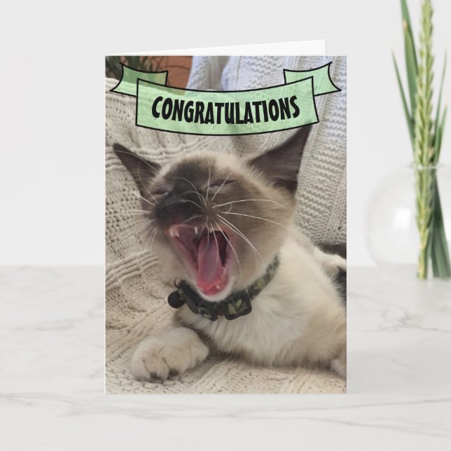 Cute Congratulations Shouting Siamese Kitten Photo Card (Front)