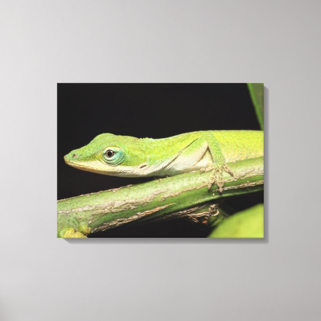 Cute Cool Adorable Fun Green Anole Lizard Animal Canvas Print (Front)