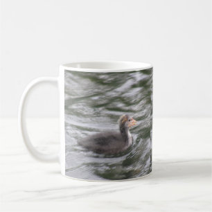 Cute Coot Chick on Choppy Waters Mug