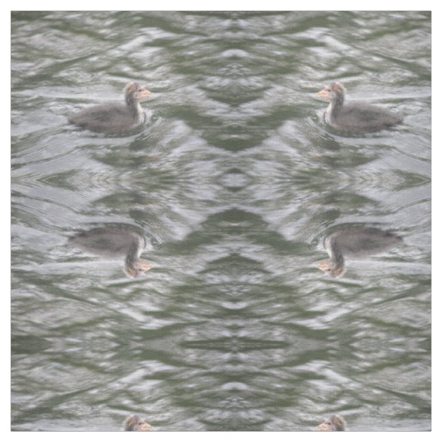 Cute Coot Chick on Choppy Waters Patterned Animal Fabric (Swatch)