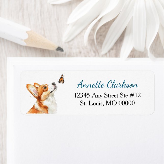 Cute Corgi Dog Butterfly Wonder (Insitu)