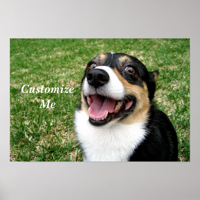 Cute Corgi Dog Custom Poster (Front)