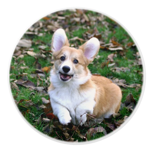 Cute Corgi Dog Leaping Ceramic Knob (Front)