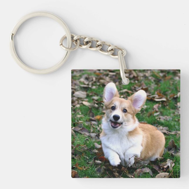 Cute Corgi Dog Leaping Keychain (Front)