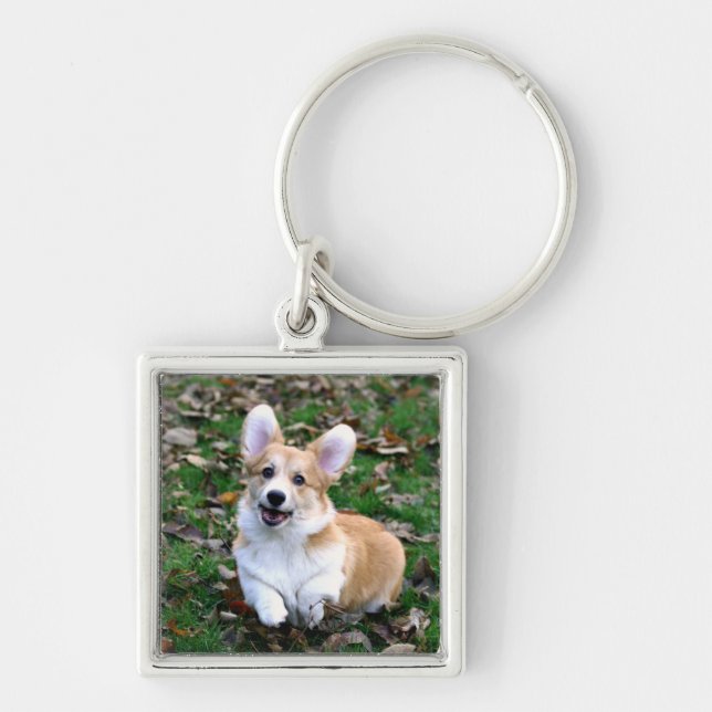 Cute Corgi Dog Leaping Keychain (Front)