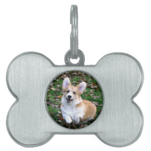 Cute Corgi Dog Leaping Pet ID Tag
