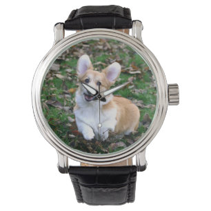 Cute Corgi Dog Leaping Watch