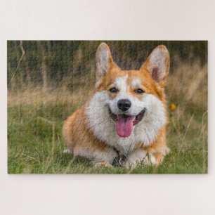 Cute corgi dog photo jigsaw puzzle