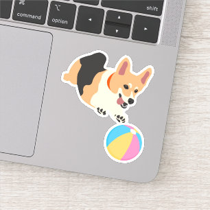 Cute Corgi Dog Play with Beach Ball