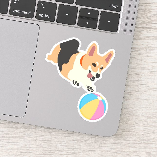 Cute Corgi Dog Play with Beach Ball (Detail)