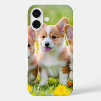 Cute Corgi Playing in the Grass