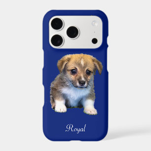 Cute Corgi Puppy Dog & Royal Crown on Blue