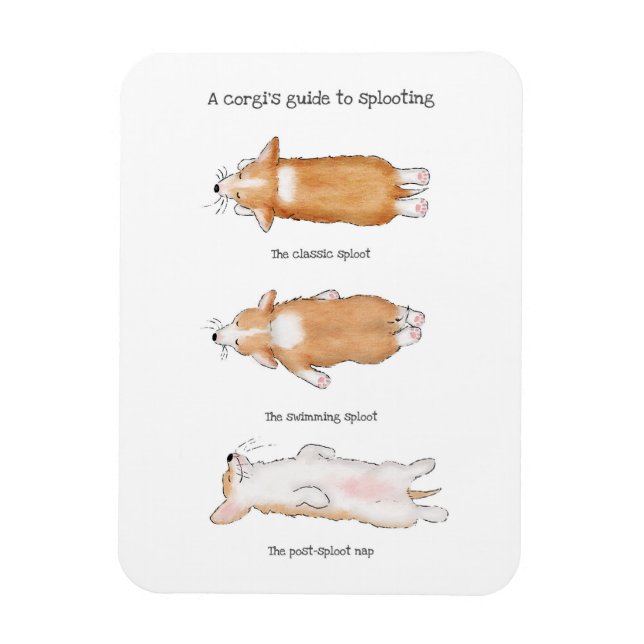 Cute corgi puppy guide to splooting magnet (Vertical)