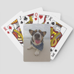 Cute Corgi with Tongue Out Playing Cards