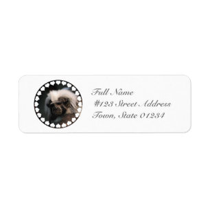 Cute Cotton Topped Tamarin Mailing Labels