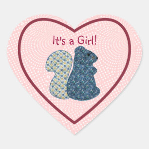 Cute Country Style Its a Girl Blue Squirrel Heart Sticker