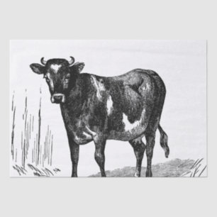 Cute Country vintage cow Farm party Tissue Paper