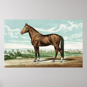 Cute Country vintage horse decor poster