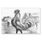 Cute Country vintage rooster party