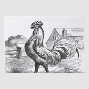 Cute Country vintage rooster party Tissue Paper
