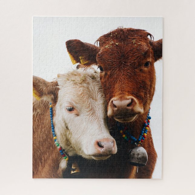 Cute couple of cows jigsaw puzzle (Vertical)