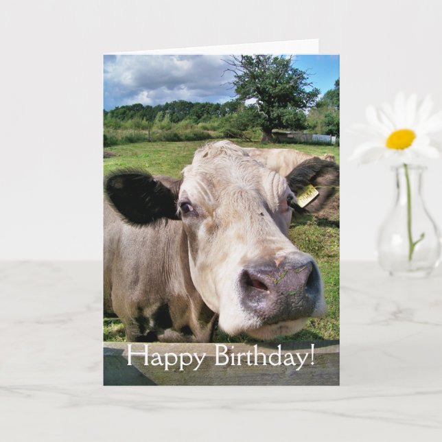 CUTE COW CARD (Small Plant)