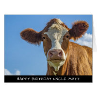 Cute Cow Extra Large Birthday Card