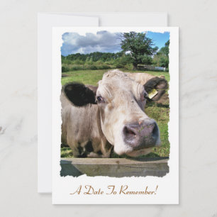 CUTE COW INVITATION
