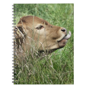 CUTE COW NOTEBOOK