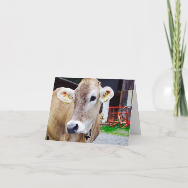 Cute cow notecard (Front)