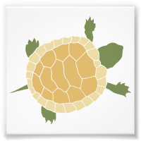 Cute Crawling Little Turtle Tortoise