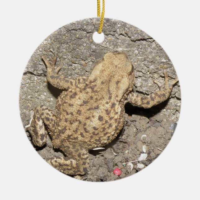 Cute Crawling Toad Custom Birthday Ceramic Ornament (Front)