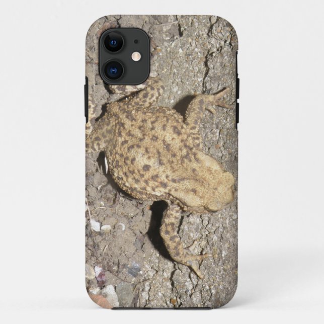 Cute Crawling Toad iPhone 5 Case (Back)