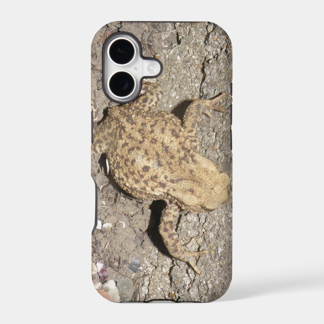 Cute Crawling Toad iPhone 5 Case (Back)