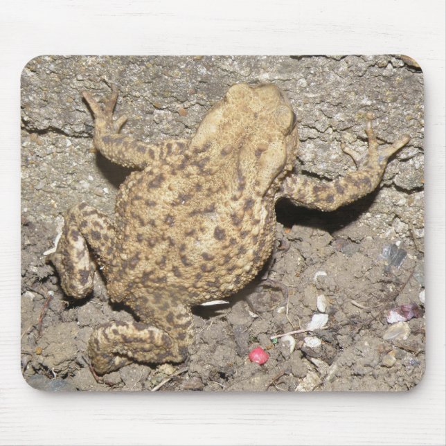 Cute Crawling Toad Mousepad (Front)