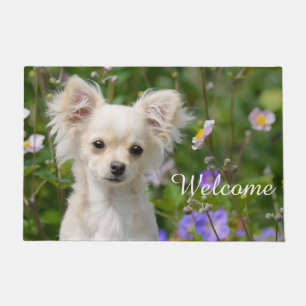 Cute cream Chihuahua Dog Puppy Pet Photo / Welcome Doormat