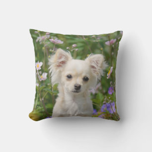 Cute cream Chihuahua Dog Puppy Photo for Outside Throw Pillow