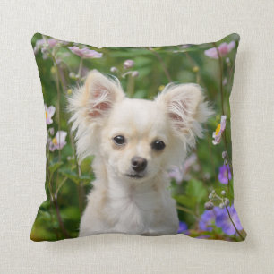 Cute cream Chihuahua Dog Puppy Photo - Throw Pillow